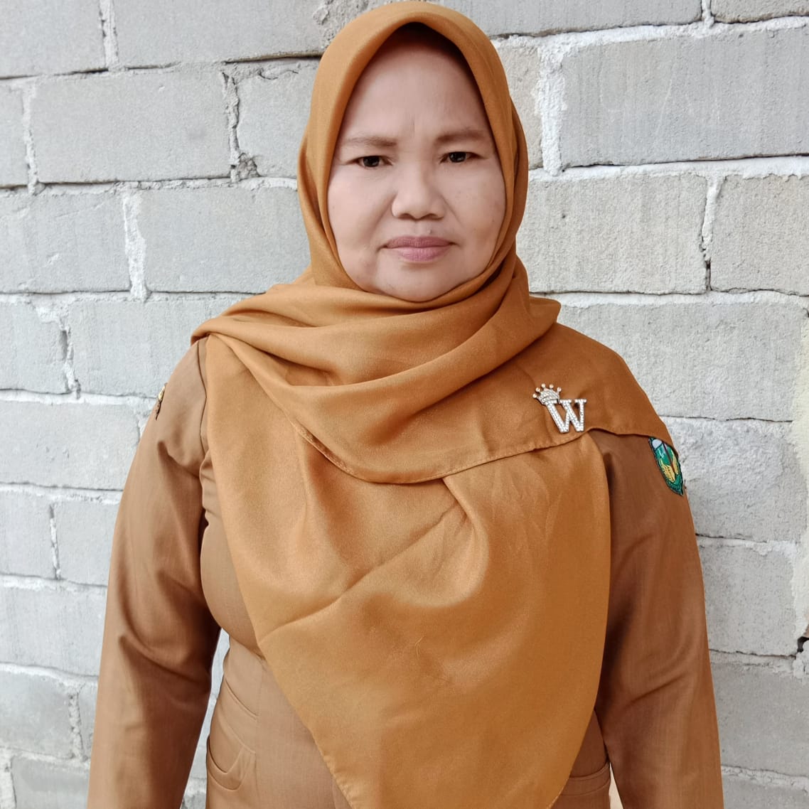 HAMSIATI